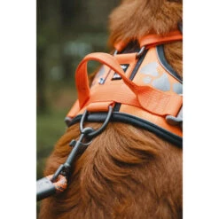 Hurtta Weekend Warrior Geschirr 25 Hurtta Weekend Warrior Geschirr -Bester Tierserien Laden hurtta weekend warrior harness 189096 0500 none