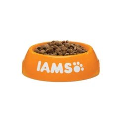 IAMS For Vitality Cat Adult Fish & Chicken -Bester Tierserien Laden iams cat adult fish chicken 133718 0500 none