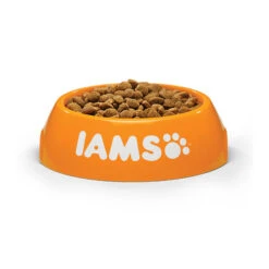 IAMS For Vitality Dog Adult Small & Medium - Lamb -Bester Tierserien Laden iams dog adult small medium lamb 135991 0500 none