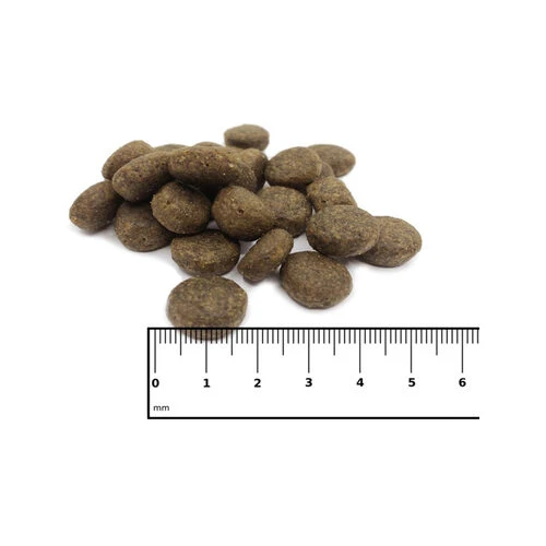 ICEPAW Scandic Duck 4 ICEPAW Scandic Duck – Bild 2