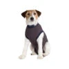 Jacketz Medical Body Suit Für Hunde -Bester Tierserien Laden jacketz medical body suit hond 154117 0500 none