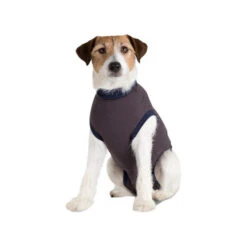 Jacketz Medical Body Suit Für Hunde