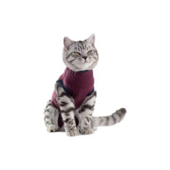 Jacketz Medical Body Suit Für Katzen 10 Jacketz Medical Body Suit Für Katzen -Bester Tierserien Laden jacketz medical body suit kat 154129 0500 none