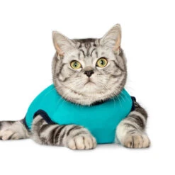 Jacketz Medical Body Suit Für Katzen 13 Jacketz Medical Body Suit Für Katzen -Bester Tierserien Laden jacketz medical body suit kat 209783 0500 none