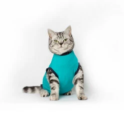 Jacketz Medical Body Suit Für Katzen 12 Jacketz Medical Body Suit Für Katzen -Bester Tierserien Laden jacketz medical body suit kat 209789 0500 none