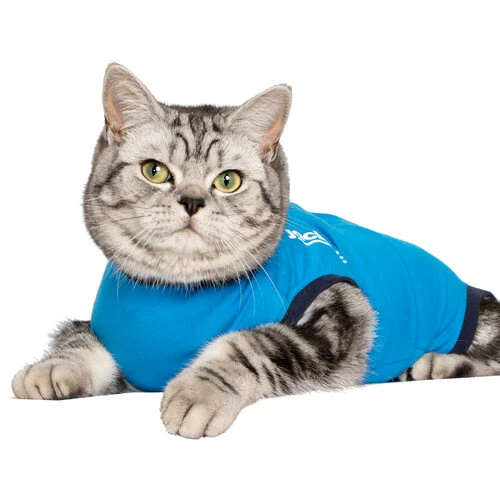 Jacketz Medical Body Suit Für Katzen 4 Jacketz Medical Body Suit Für Katzen – Bild 2