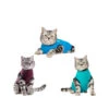 Jacketz Medical Body Suit Für Katzen -Bester Tierserien Laden jacketz medical body suit kat 209795 0500 none