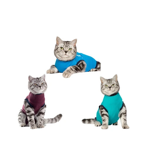 Jacketz Medical Body Suit Für Katzen 3 Jacketz Medical Body Suit Für Katzen