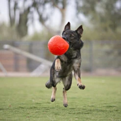 Jolly Soccer Ball -Bester Tierserien Laden jolly soccer ball 162241 0500 none