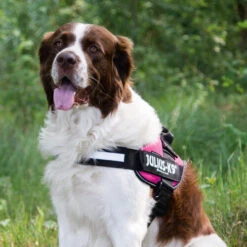 Julius K9 IDC Powergeschirr 18 Julius K9 IDC Powergeschirr -Bester Tierserien Laden julius k9 idc powertuig 192695 0500 none