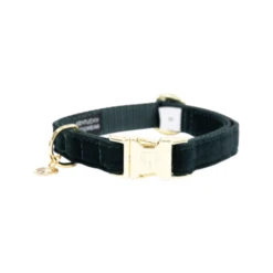 Kentucky Dogwear Corduroy Hundehalsband -Bester Tierserien Laden kentucky dogwear corduroy hondenhalsband 219194 0500 none