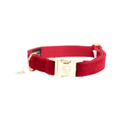 Kentucky Dogwear Corduroy Hundehalsband -Bester Tierserien Laden kentucky dogwear corduroy hondenhalsband 219198 0500 none