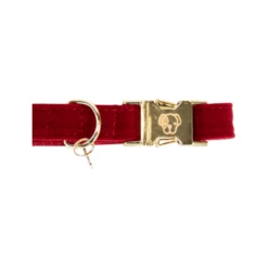 Kentucky Dogwear Corduroy Hundehalsband -Bester Tierserien Laden kentucky dogwear corduroy hondenhalsband 219199 0500 none