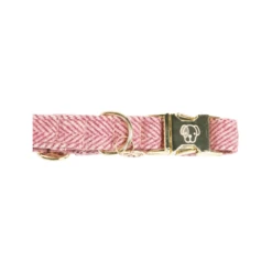 Kentucky Dogwear Hundehalsband Wool -Bester Tierserien Laden kentucky dogwear hondenhalsband wool 219709 0500 none
