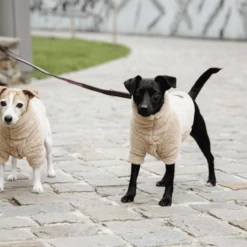 Kentucky Dogwear Hundejacke Teddy Fleece 9 Kentucky Dogwear Hundejacke Teddy Fleece -Bester Tierserien Laden kentucky dogwear hondenjas teddy fleece 219186 0500 none