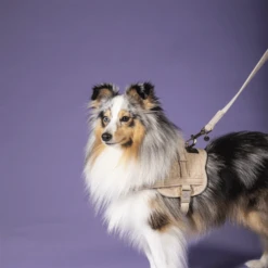 Kentucky Dogwear Hundeleine Wool -Bester Tierserien Laden kentucky dogwear hondenlijn wool 219684 0500 none