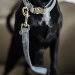 Kentucky Dogwear Hundeleine Wool -Bester Tierserien Laden kentucky dogwear hondenlijn wool 219689 0500 none