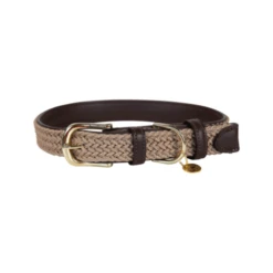 Kentucky Dogwear Nylon Hundehalsband 12 Kentucky Dogwear Nylon Hundehalsband -Bester Tierserien Laden kentucky dogwear nylon hondenhalsband 219176 0500 none