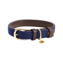 Kentucky Dogwear Nylon Hundehalsband 10 Kentucky Dogwear Nylon Hundehalsband -Bester Tierserien Laden kentucky dogwear nylon hondenhalsband 219180 0500 none