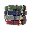 Kentucky Dogwear Nylon Hundehalsband -Bester Tierserien Laden kentucky dogwear nylon hondenhalsband 219181 0500 none