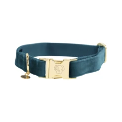 Kentucky Dogwear Velvet Hundehalsband 23 Kentucky Dogwear Velvet Hundehalsband -Bester Tierserien Laden kentucky dogwear velvet hondenhalsband 219231 0500 none