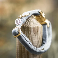 Kentucky Dogwear Velvet Hundehalsband 25 Kentucky Dogwear Velvet Hundehalsband -Bester Tierserien Laden kentucky dogwear velvet hondenhalsband 219236 0500 none