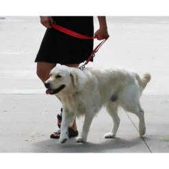 KONG Adjustable Leash 11 KONG Adjustable Leash -Bester Tierserien Laden kong adjustable leash zwart 176941 0500 none