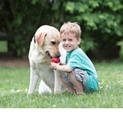 KONG Classic -Bester Tierserien Laden kong classic 98642 0500 none