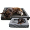 Lounge Dogbed -Bester Tierserien Laden lounge dogbed 220787 0500 none