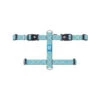 Max & Molly H-Geschirr - Retro Blue -Bester Tierserien Laden max molly h hondenharnas retro blue 185413 0500 none