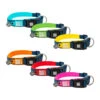 Max & Molly Smart ID Halsband -Bester Tierserien Laden max molly smart id halsband 141887 0500 none
