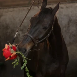 Maximus Fun Play Ball Für Pferde -Bester Tierserien Laden maximus fun play ball voor paarden 207833 0500 none