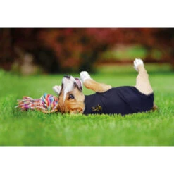 Medical Pet Shirt Hund 17 Medical Pet Shirt Hund -Bester Tierserien Laden medical pet shirt hond 149981 0500 none