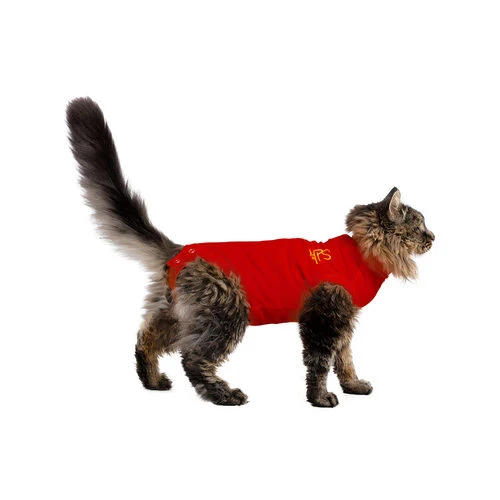 Medical Pet Shirt Katze 4 Medical Pet Shirt Katze – Bild 2