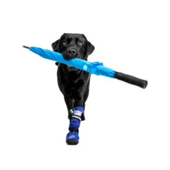 Medical Pet Shirt Boot 13 Medical Pet Shirt Boot -Bester Tierserien Laden medical pets boot 167482 0500 none