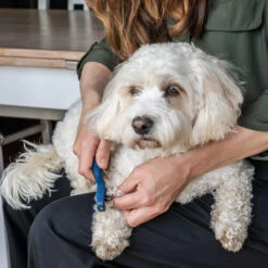 Mikki Doodle De-Matter 9 Mikki Doodle De-Matter -Bester Tierserien Laden mikki doodle de matter 194483 0500 none