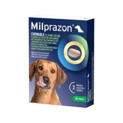 Milprazon Chewable Hund -Bester Tierserien Laden milprazon chewable hond 206282 0500 none