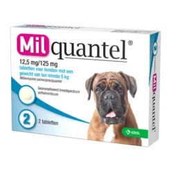 Milquantel Hund -Bester Tierserien Laden milquantel hond 112622 0500 none