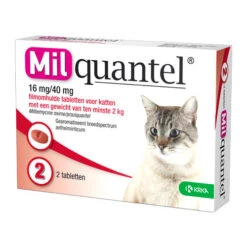 Milquantel Katze 10 Milquantel Katze -Bester Tierserien Laden milquantel kat 112607 0500 none