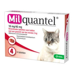 Milquantel Katze 11 Milquantel Katze -Bester Tierserien Laden milquantel kat 112610 0500 none