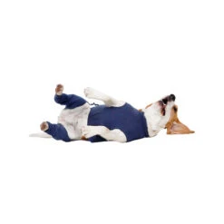 MPS-HLS Hinterbeinschutz -Bester Tierserien Laden mps hls achterpootmouwtjes 167440 0500 none