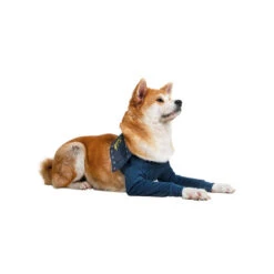 MPS-TAZ2 Vorderpfotenschutz -Bester Tierserien Laden mps taz2 voorpootmouwtjes 167446 0500 none