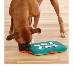 Nina Ottosson Dog Casino 7 Nina Ottosson Dog Casino -Bester Tierserien Laden nina ottosson dog casino 96086 0500 none