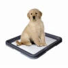 Nobby Doggy Trainer & Pads 1 Nobby Doggy Trainer & Pads -Bester Tierserien Laden nobby doggy trainer 130274 0500 none