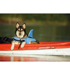 Nobby Hundeschwimmweste Sharki -Bester Tierserien Laden nobby sharki hondenzwemvest 221666 0500 none