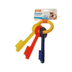 Nylabone Teething Puppy Keys -Bester Tierserien Laden nylabone teething puppy keys 109387 0500 none
