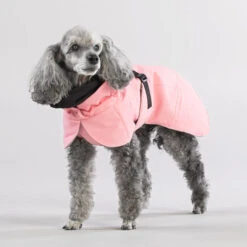 PAIKKA Visibility Winter Jacket -Bester Tierserien Laden paikka visibility winter jacket 217799 0500 none