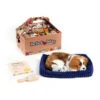 Perfect Petzzz Soft Cavalier King Charles -Bester Tierserien Laden perfect petzzz soft cavalier king charles 151240 0500 none