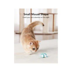 Petlibro Pixie Mouse 8 Petlibro Pixie Mouse -Bester Tierserien Laden petlibro pixie mouse 221373 0500 none