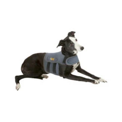 Petlife KarmaWrap Für Hunde -Bester Tierserien Laden petlife karmawrap hond 154186 0500 none